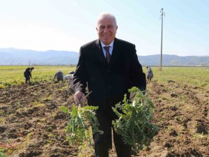 Başkan Atay, Efeler’de Tarıma Değer Katıyor