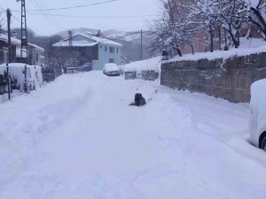 Tunceli’de 251 Köy Yolu Ulaşıma Kapandı