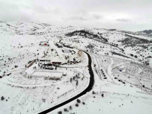 Karın Keyfini Dinek Dağı’nda Çıkardılar