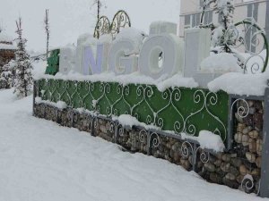 Bingöl Kar Kalınlığı 40 Santime Ulaştı: 283 Köy Yolu Kapandı