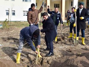 Balıkesir Üniversitesinde Fidan Dikim Etkinliği Gerçekleştirildi