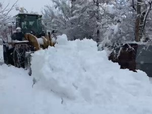 Bingöl Belediyesinin Karla Mücadelesi Sürüyor