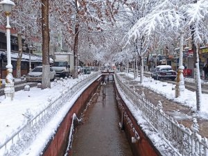 Malatya Karlı Bir Güne Uyandı