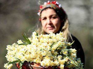 Nergis Hasadı Yüzleri Güldürdü