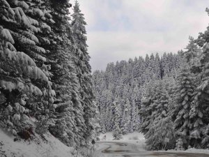 Bolu’da Kartpostallık Kış Manzarası