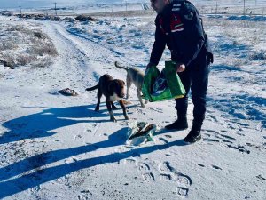 Jandarma, Can Dostlarını Unutmadı