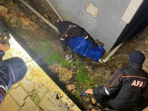 Kayıp Olarak Aranan Yaşlı Adam Ölü Bulundu