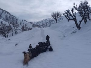 Yüksek Kesimlerde Kar Kalınlığı 1 Metreye Yaklaştı: 95 Yerleşim Yerine Ulaşım Sağlanamıyor