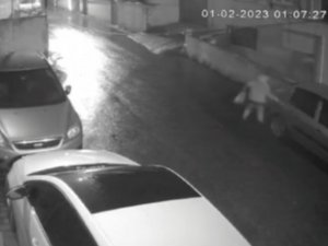 Ataşehir’de Şahısları Sokak Ortasında Otomobili Çizip Yazılar Yazdı