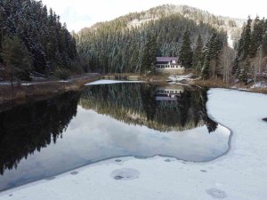 Akgöl Tabiat Parkı’nda Kartpostallık Kar Manzarası