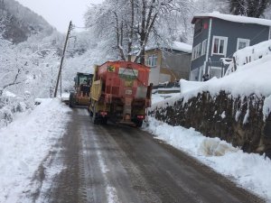 Giresun’da Karla Mücadele Çalışması Başlatıldı