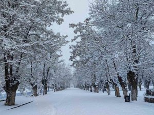 Tatvan’da Masalsı Kar Manzaraları