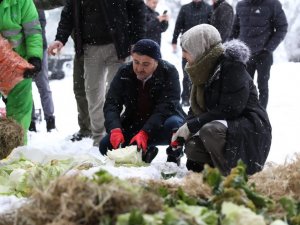 Yem Bulmakta Zorlanan Yaban Hayvanlarına Yem Bıraktılar