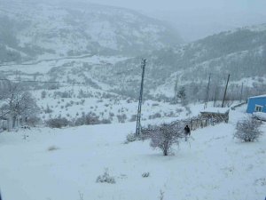 Posof’ta Kar Esareti