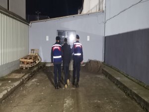 Bandırma’da Yazlık Evlere Dadanan 1 Kişi Tutuklandı