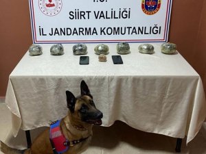 Jandarmadan Kaçan Uyuşturucu Tacirleri Kıskıvrak Yakalandı