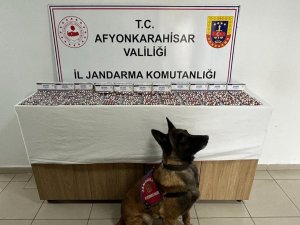 Otobüs Terminalinden Uyuşturucu Dolu Çantayı Alır Almaz Gözaltına Alındı