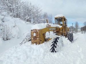 Ordu’da Karla Kapanan 197 Mahalle Yolu Ulaşıma Açıldı