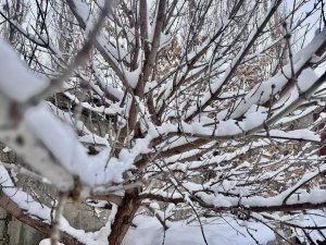 Ağrı’da Kış Manzarası Göz Kamaştırıyor