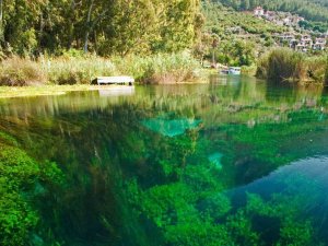 Dünyadaki Sulak Alanların Yüzde 35’i 50 Yılda Yok Oldu