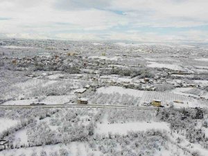 Malatya’da Kayısı Bahçeleri Beyaz Gelinliğini Giydi