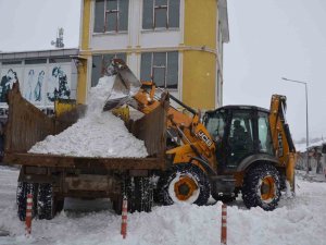 Tercan’da Kar Temizliği