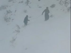 Vedaş Ekibi Çığ Ve Kurt Sürüsü Tehlikesi İle Karşılaşabiliyor