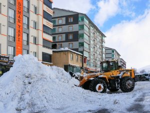 Bitlis’te 162 Köy Yolu Ulaşıma Kapandı