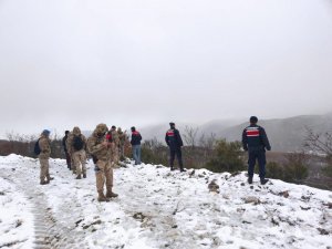 7 Büyükbaş Hayvanını Kaybeden Vatandaşın Yardımına Jandarma Yetişti