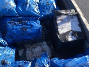 Tırdaki Kömür Torbalarının Arasından Çıktı: Elektroniği Bile Var