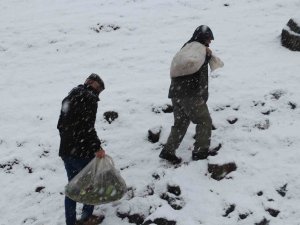 Kırsalda Kar Esareti Devam Ederken Yaban Hayvanları Unutulmadı