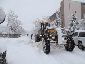 Bingöl’de Kar Nedeniyle Kapanan 131 Köy Yolunun Açılması İçin Çalışmalar Sürüyor