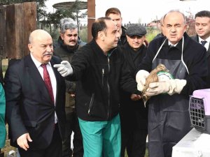 Hersek Lagünü’nde Dünya Sulak Alanları Günü Kutlandı