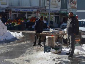 Murat Nehri’nde Balık Bolluğu