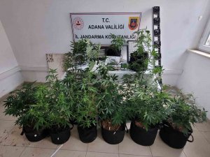 Adana’da Uyuşturucu Operasyonu: 3 Gözaltı