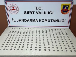Beline Bağladığı Poşetten Roma Dönemine Ait 350 Adet Gümüş Sikke Ele Geçirildi