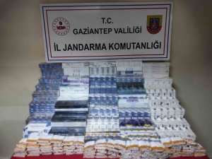 Gaziantep’te Kaçakçılık Operasyonunda 1 Şahıs Tutuklandı