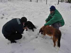 Karlı Bölgelerde Can Dostlara Yiyecek Desteği