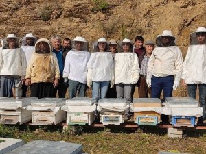 Arıcılık Kursu Eğitimleri Tamamlandı