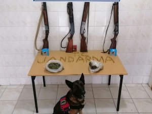 Sakarya’da Uyuşturucu Operasyonu: 1 Gözaltı