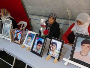 Yüreği Yanık Anne Laçin: “Bizim Ciğerlerimiz Yandı Başka Ciğerler Yanmasın”