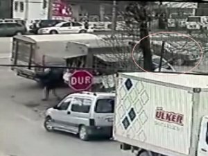 Köpeğe Çarpmamak İçin Manevra Yaptı Kamyonete Çarptı