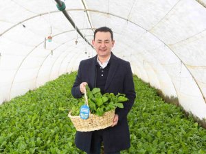 Carrefoursa’dan “Kent Tarımı” Seferberliği