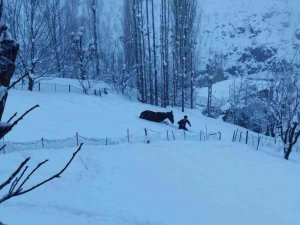 Batman’da Kar Yağışıyla Birlikte 48 Yerleşim Yerine Ulaşım Sağlanamıyor