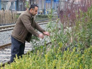 Ziraat Mühendisi Tekeş: "Fidan Ve Meyve Ağaçları Dikimi İçin En Uygun Dönemdeyiz"