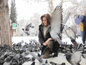 Şahin Sokak Hayvanlarını Besledi