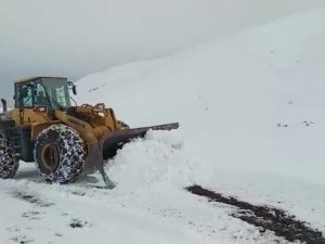 Siirt’te Yoğun Kar Yağışı Nedeniyle Köy Yolları Ulaşıma Kapandı