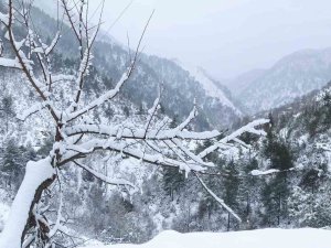 Kuraklık Sonrası Gelen Kar Vatandaşı Mutlu Etti