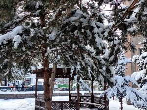 Ardahan’da Kar, Kartpostallık Görüntüler Oluşturdu