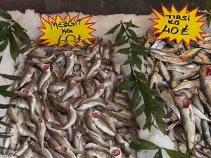 Sıcak Havalar Balıkçı Tezgahlarını Da Etkiledi